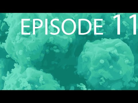 Episode 11 - Intercell Relationships