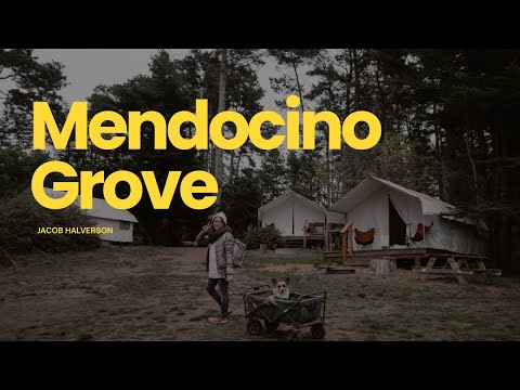 How to Manage a Glamping Resort - Advice From a Hotel ... - YouTube