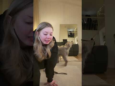 KATAPULTTI-TEMPPU ✅