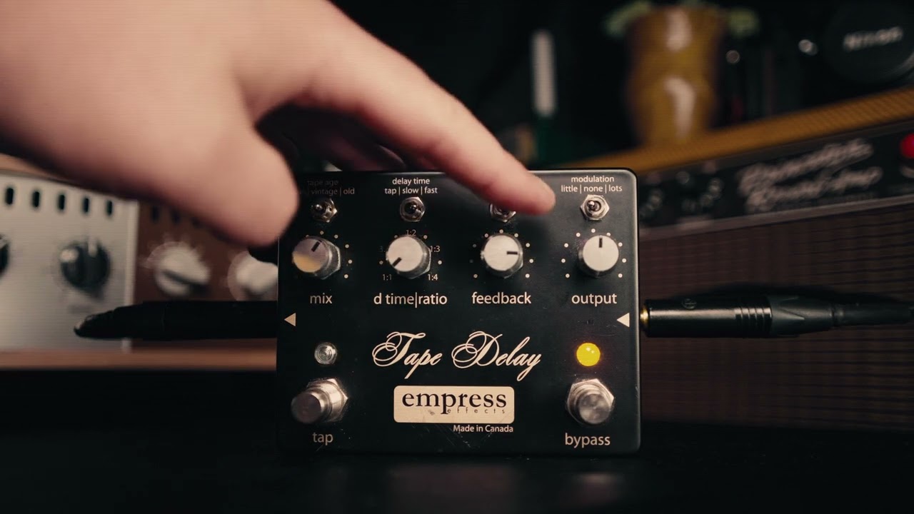 Empress Tape Delay Demo - Strat into Princeton - No Talking