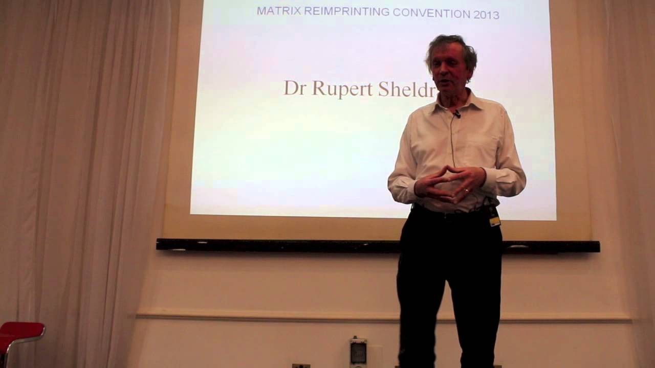 Matrix Reimprinting Convention 2013 (5)