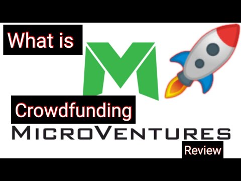 Crowdfunding at Microventures review and crowdfunding portflio review