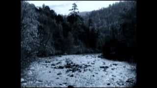 Walden :: Colin Chloé