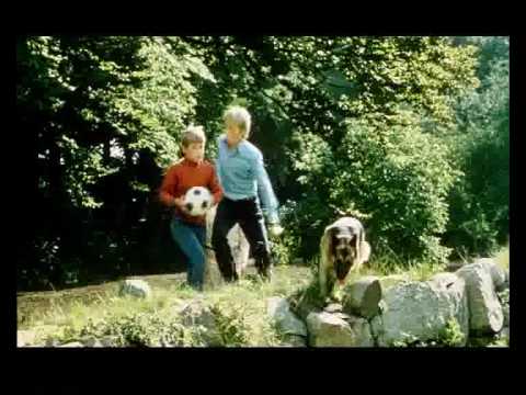 Los cinco se ven en apuros.