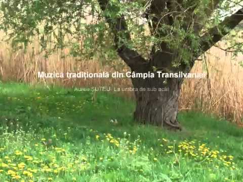 Aurel ŞUTEU  La umbra de sub acăţ