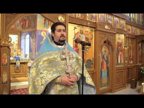 Проповедь на праздник Сретение Господа нашего Иисуса Христа.