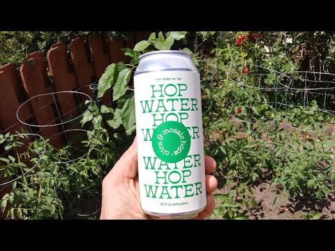 Quick Tasting of Fair State Citra and Mosaic Hop Water.