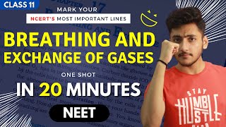 Breathing and Exchange of Gases Class 11 | Biology | For NEET | Full Revision In 20 Minutes