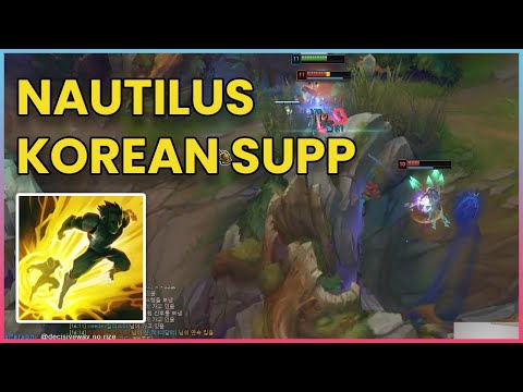 Korean level support nautilus
