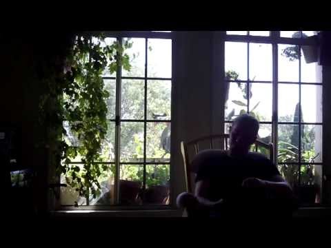 Peter liest Hermann Hesse - Notizen eines Naturmenschen