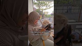 Download lagu nothing gonna change my love for you abang ijay mp3