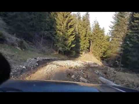 FRUMOASA - COȘNEA și retur