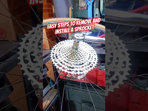 How to Install a Cassette Sprocket on an MTB Freehub