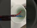 Phase Neutre 230V dans l'eau - Électricité