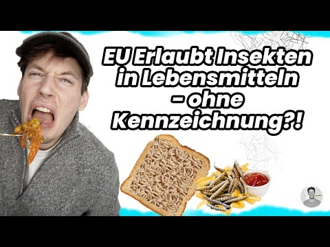 INSEKTEN in Lebensmitteln: Was du als VEGANER beachten solltest!