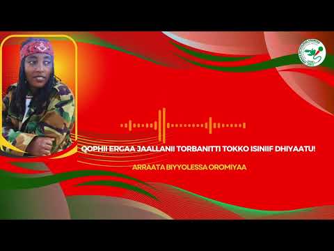 Qophii Ergaa Jaallanii  ONM-ABO Muddee 28-2025 itti dhiyaadhaa!