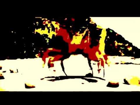 CRAB SONG INTENSIFIES