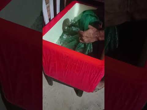 muito peixe, açude da Madalena,ce