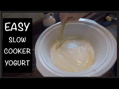 download lagu mp3 mp4 Yogurt Slow Cooker Warm Setting, download lagu Yogurt Slow Cooker Warm Setting gratis, unduh video klip Yogurt Slow Cooker Warm Setting