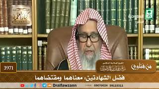[3971] فضل الشهادتين: معناهما ومقتضاهما - صالح الفوزان