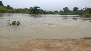 preview picture of video 'Natural beauty of river | Sambalpur Harad Jor'