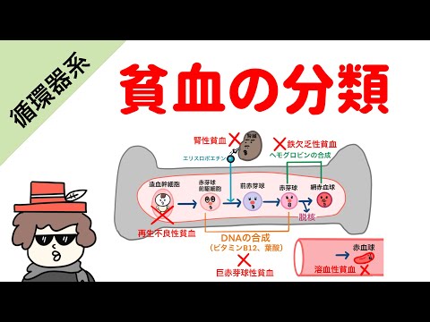 サラセミアについて詳しく解説