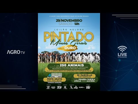 LEILÃO NELORE PINTADO MINAS GERAIS EDIÇÃO OURO - 29/11/2025