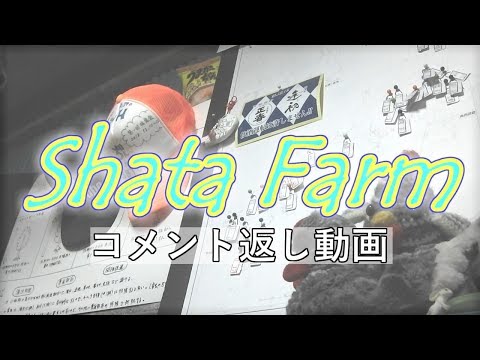 , title : '20190416 ゼオライトと腐食は別!!本日も頑張りましょう!!／きゅうり農家／きゅうり栽培／愉快なshata農園'