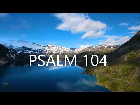 Psalm 104