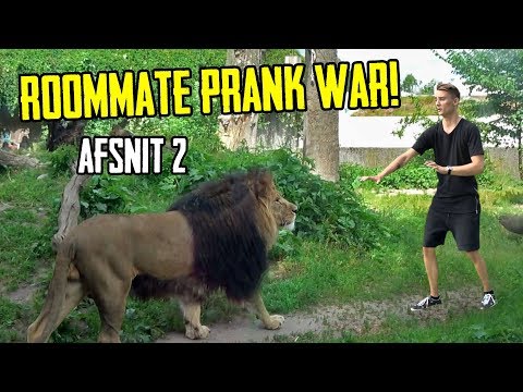 LØVE PRANK GÅR GALT // Ultimativ roommate prankwar - Afsnit 2