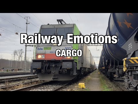 🚆 Weniger Verkehr auf der Strasse: Führerstandsmitfahrt mit dem UKV Zug (Schweiz | Spiez - Weil a R)