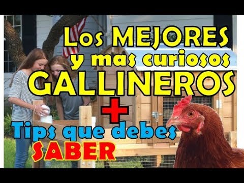 , title : 'como HACER un GALLINERO CASERO galpon o corral PASO A PASO para gallinas casero construccion'