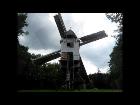 Le Sahara de Lommel et le moulin d'Overpelt. Limbourg ( Belgique )