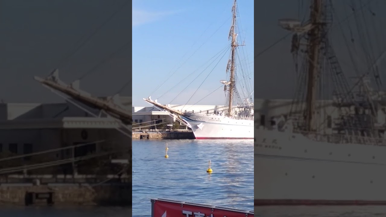 海王丸まで来てた。。