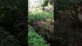 Download lagu Video lucu saat mengendarai motor trail mp3 Download lagu Video lucu saat mengendarai motor trail mp3