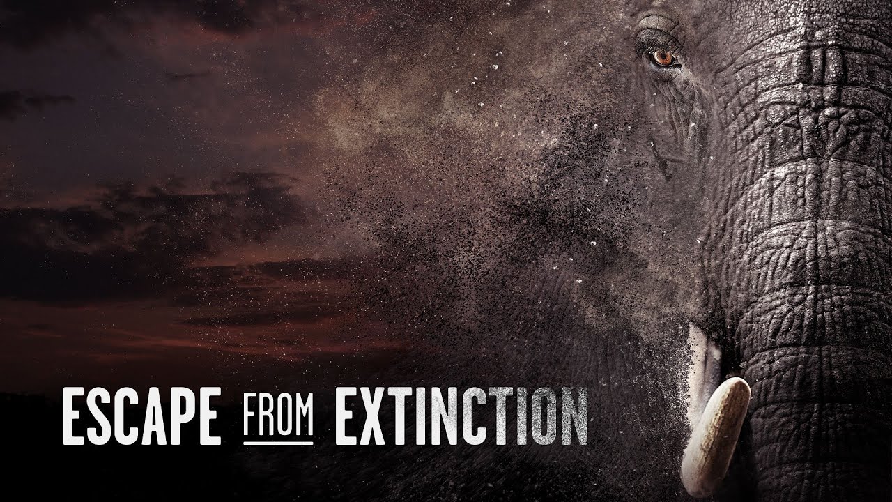 Escape from Extinction