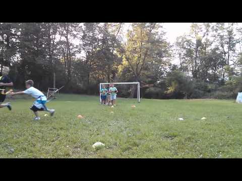 Domžale Tigers puljenje zastavice