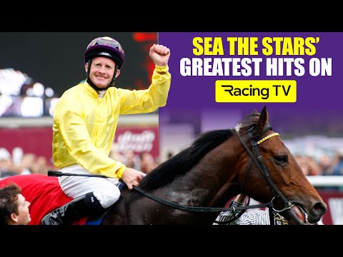 Sea The Stars - A true racing superstar