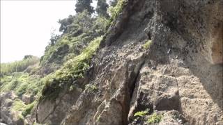 preview picture of video 'Preparação para Bushcraft em Shimoda Japão.'