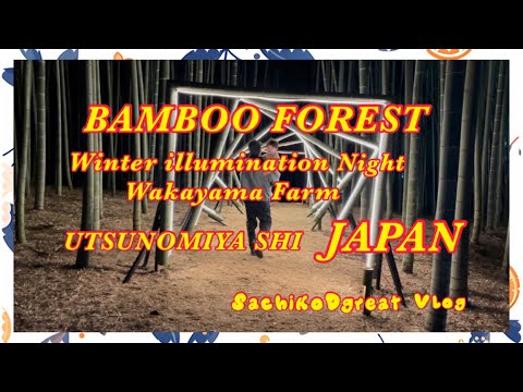 BAMBOO FOREST (WAKAYAMA FARM)