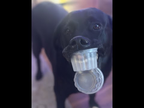 Don and Diane Shipley LIVE - November 17h at 1800 EST Thumbnail