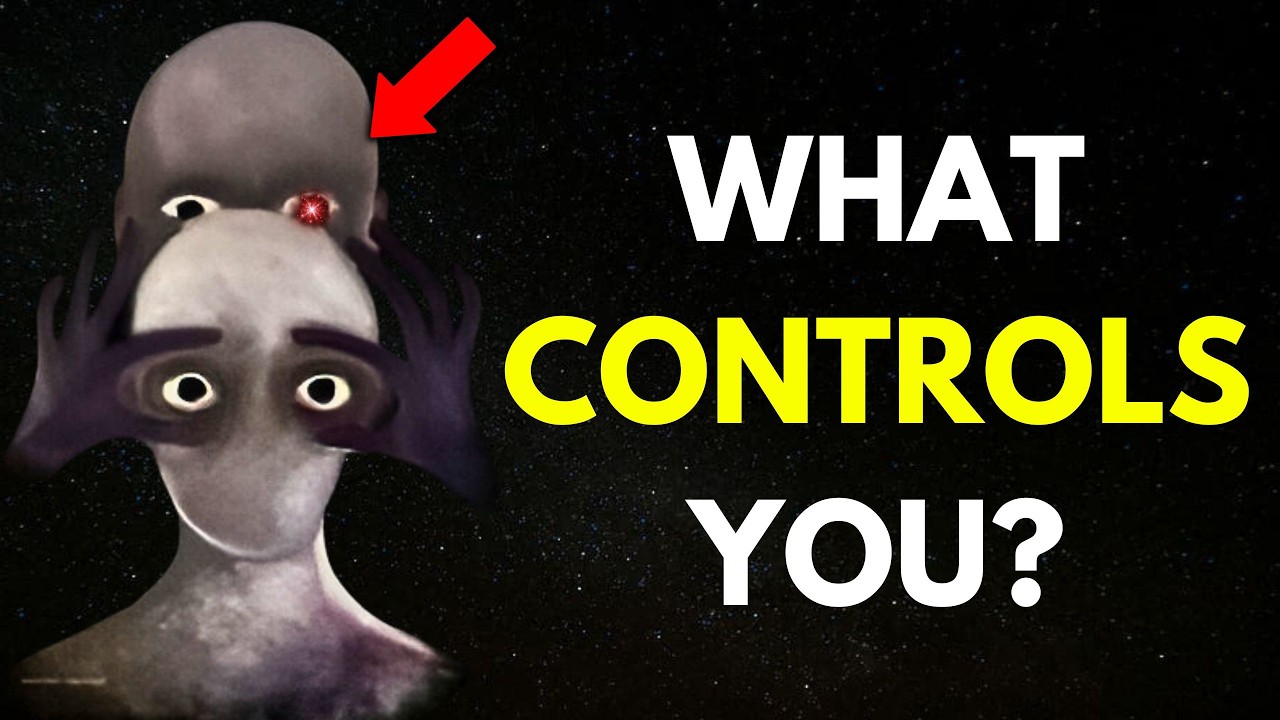 The Only Video You’ll Ever Need About the EGO (It’s So Simple)