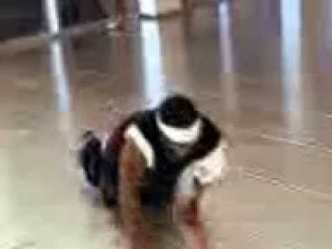 Dj China (Break Dance)