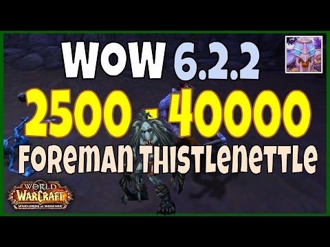 WoW 6.2.2 How To Make 2500 to 40000 Gold Farming Twink Gear, WoD Gold Guide