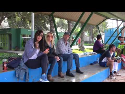 Torneo Tennis Express - Branding