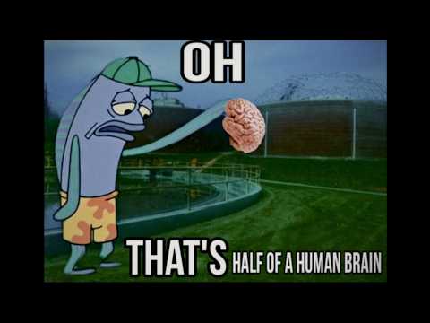 The Horrifying Real Events Behind These Memes