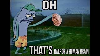 The Horrifying Real Events Behind These Memes