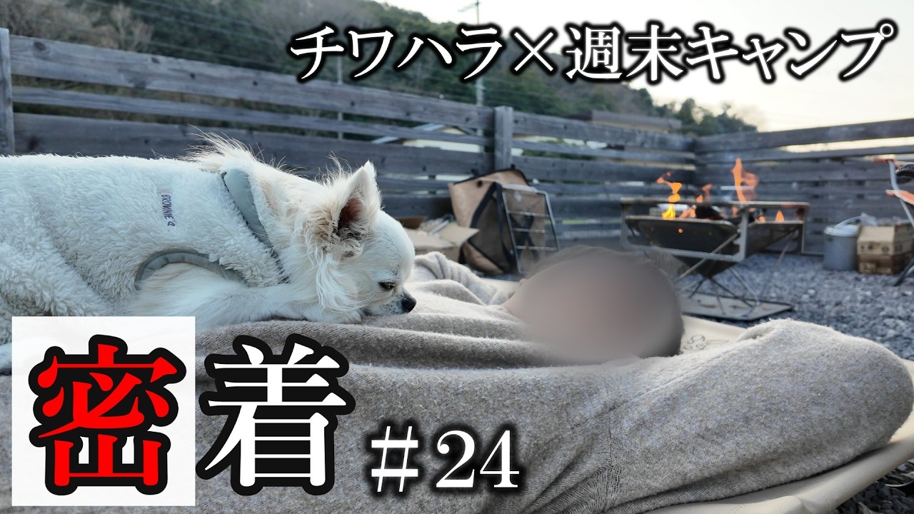 【密着#24】こんなキャンプは懲り懲りだ…でもそれが良い