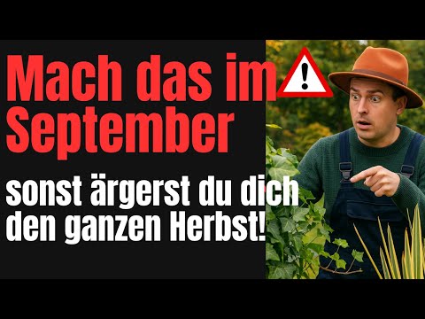 7 ingenious garden hacks for September – how to make your autumn stress-free!