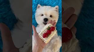 ASMR | Bai’s Immersive Care SPA & Happy Birthday